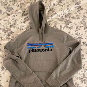 Patagonia hoodie